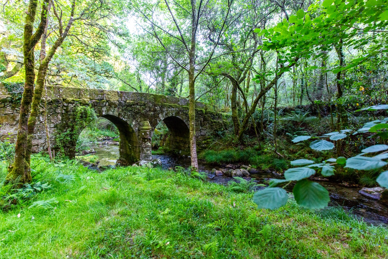 36 Ponte de San Lourenzo 01 Horizontal